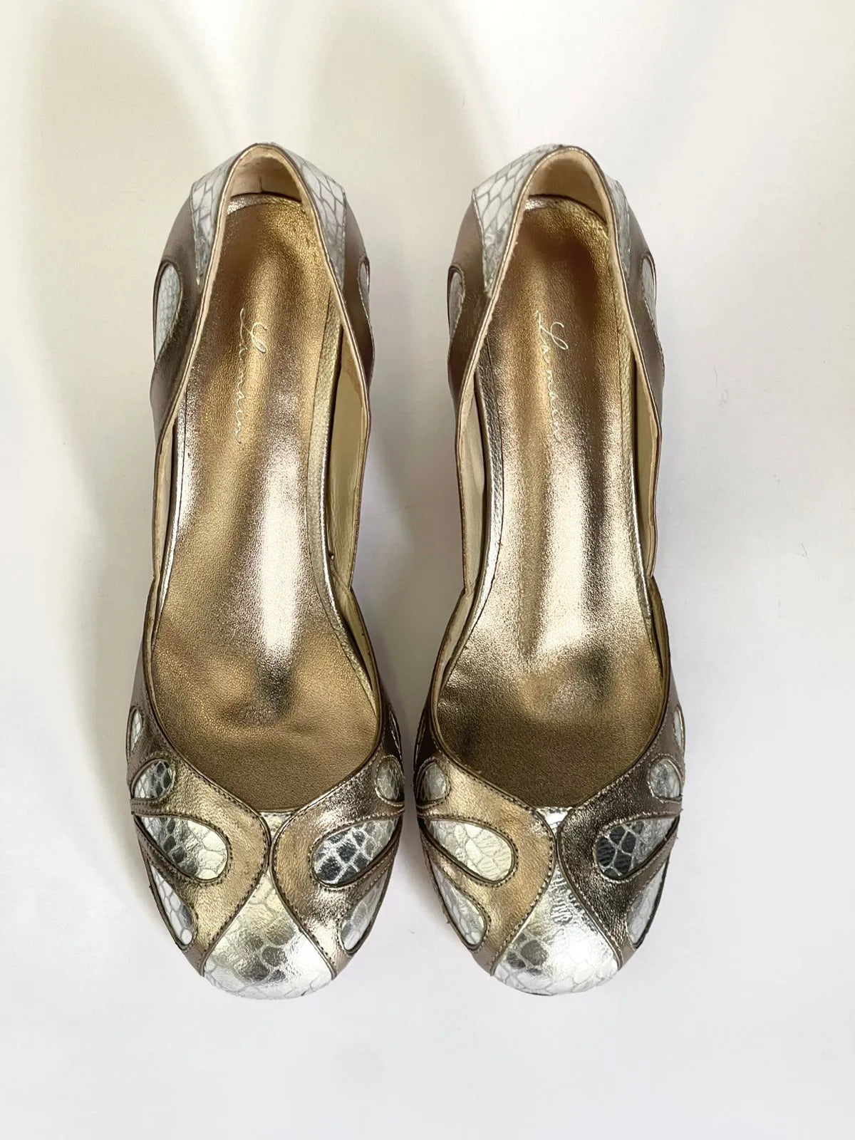 Catarina Metallic Bicolor Shoe