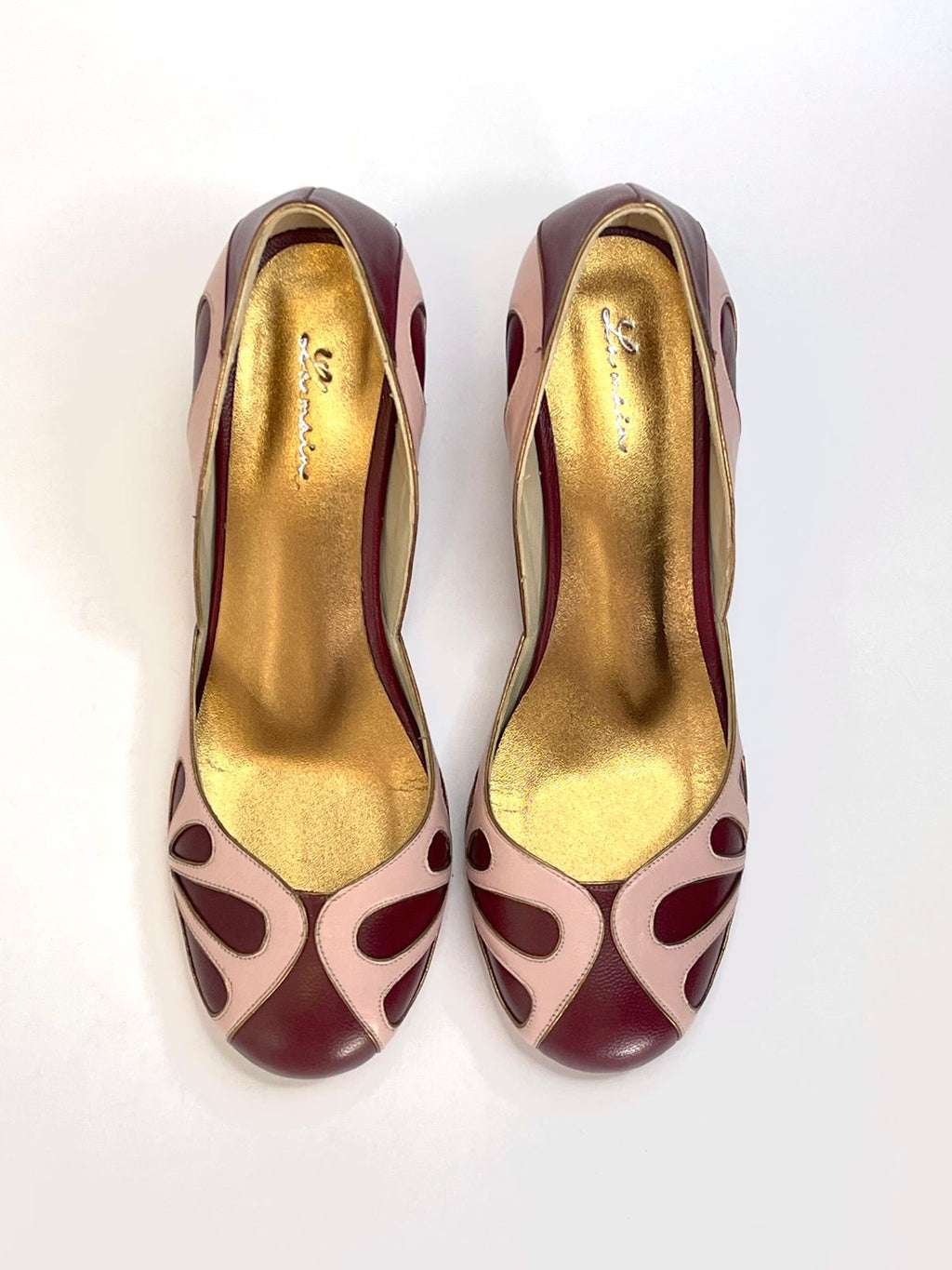 Catarina Bicolor Wine and Pink Shoe